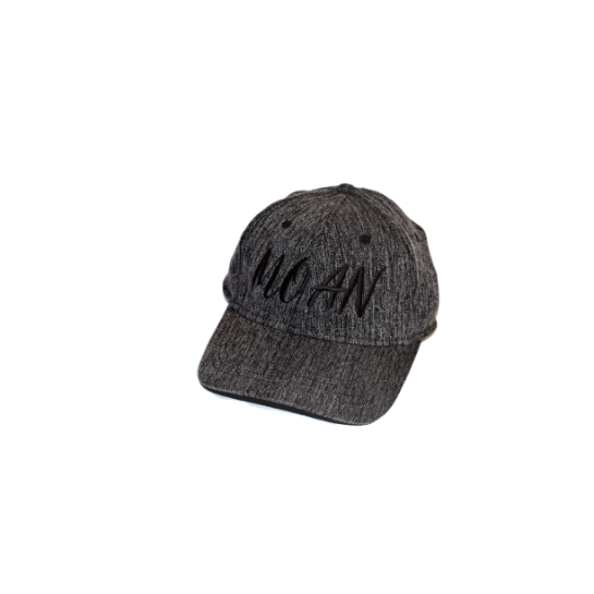 Kšiltovka - MOAN Streaked Cap Gray